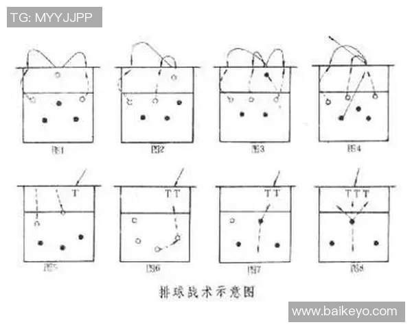 上海排球队中路突破战术解析与未来发展展望